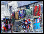 DSCN0469C1