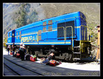 
perurail from ollantaytambo to aguas calientes