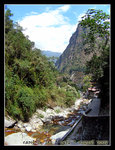 DSCN0539C1