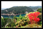 中の島
