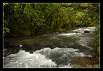 DSC_0079C1