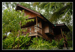 carolines resort