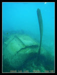 snorkeling at a Japanese plane wreck, zero fighter