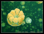 P1010571C1