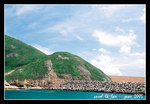 萬宜水庫東壩  the east dam of high land reservoir 