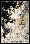 0205 climbing015c