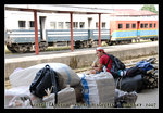 while waiting to get on the train @ beaufort
DSC_0025C1