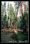 0206 yosemite 034c