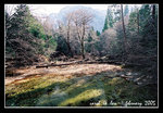 0206 yosemite 035c