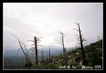 on the way outta yosemite