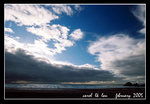 seal rocks @ ocean beach