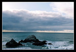 seal rocks @ ocean beach