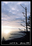 mount tamalpais