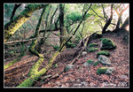 0208 mt tamalpais 022c
