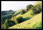 hiking @ mount tamalpais