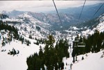 alpine meadows 023