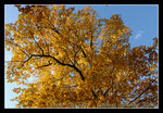 DSC_1031C1