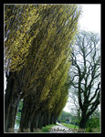 Slottsparken (The Castle Park)
