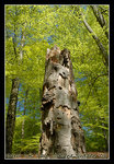DSC_0171r2C1