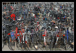 city of the bikes