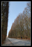 on the way to Pildammsparken