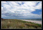 DSC_0372r2C1
