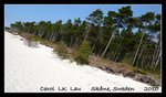 such a wonderful & quiet beach @ backåkra ~ i'm definitely heading back the next time i'm there