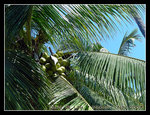DSCN2307C1