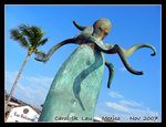 DSCN2436C1
