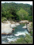 DSCN2530C1