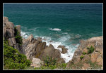 DSC_0558C2