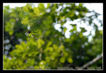 DSC_0573C2
