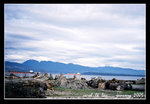 kitsilano beach in vancouver