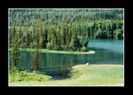 kanas lake 喀納斯湖