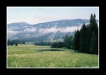 kanas lake 喀納斯湖