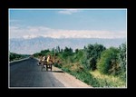 
yengisar (英吉沙) -> hotan (和田)