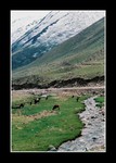 
on the way to bayanbulak grassland (巴音布魯克草原)