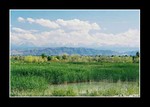 bayanbulak grassland (巴音布魯克)to yili (伊寧)
