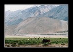 

Pamir Plateau (帕米爾高原)