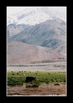 Pamir Plateau (帕米爾高原)