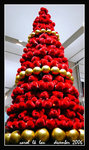 x'mas bear-bear tree