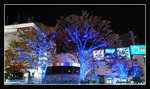 x'mas lighting at shinjuku