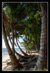 after yap was hit badly by hurricane in 2004, wanyan beach was left all by itself till now...