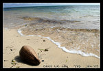 DSC_0278C1