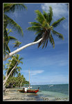 wacholab, probably the nicest beach on the island