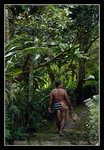 stone path heading to kadai village