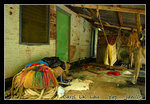 DSC_0521C1