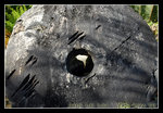 DSC_0552C1