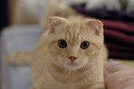 _DSC0194-2