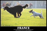 IMG_1055 copy